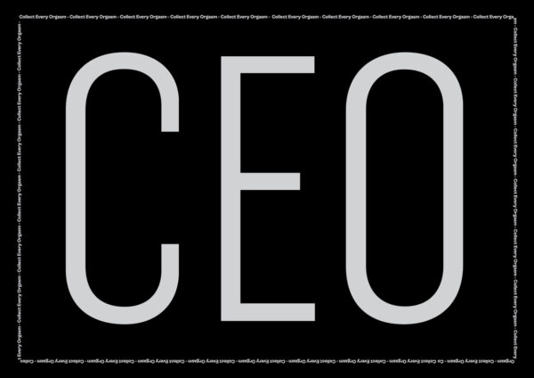 CEO - immagine 2