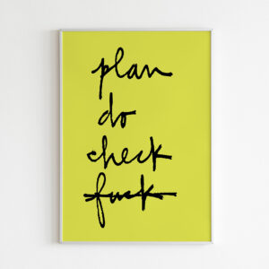 Plan Do Check Fuck